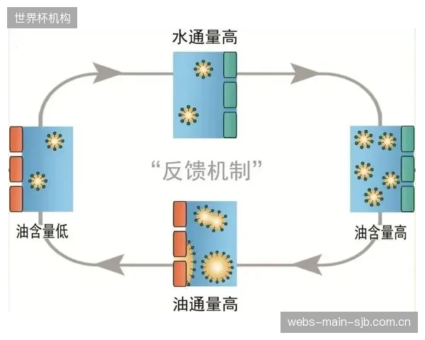 我们究竟是在用疏水膜技术服务于水上运动内容创新,还是仅仅在进行一场昂贵的军备竞赛? 我们究竟是在用疏水膜技术服务于水上运动内容创新,还是仅仅在进行一场昂贵的军备竞赛?